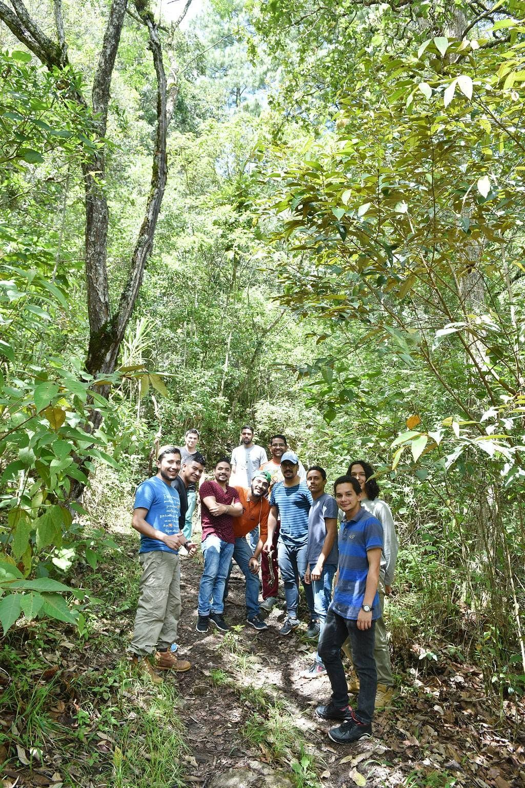 A group hiking through the forest