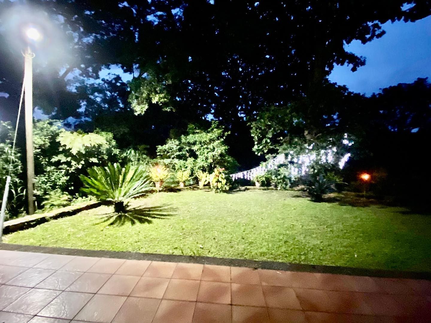 Garden lit up at night for a party