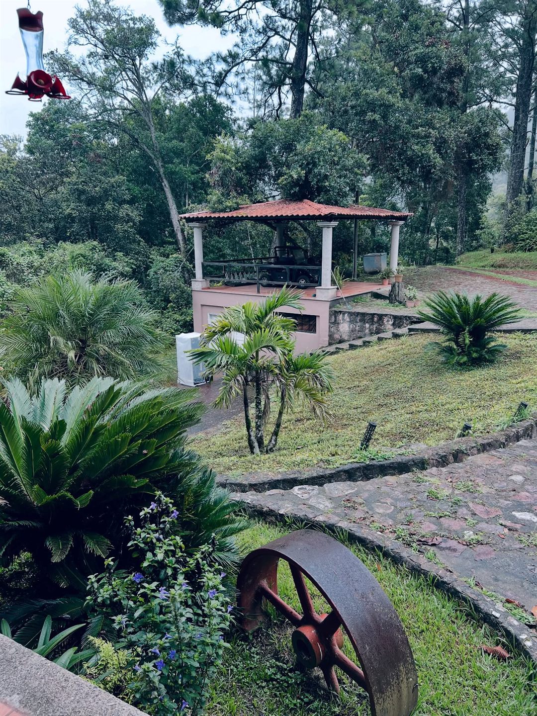 Garden kiosk seen across palms and lawn