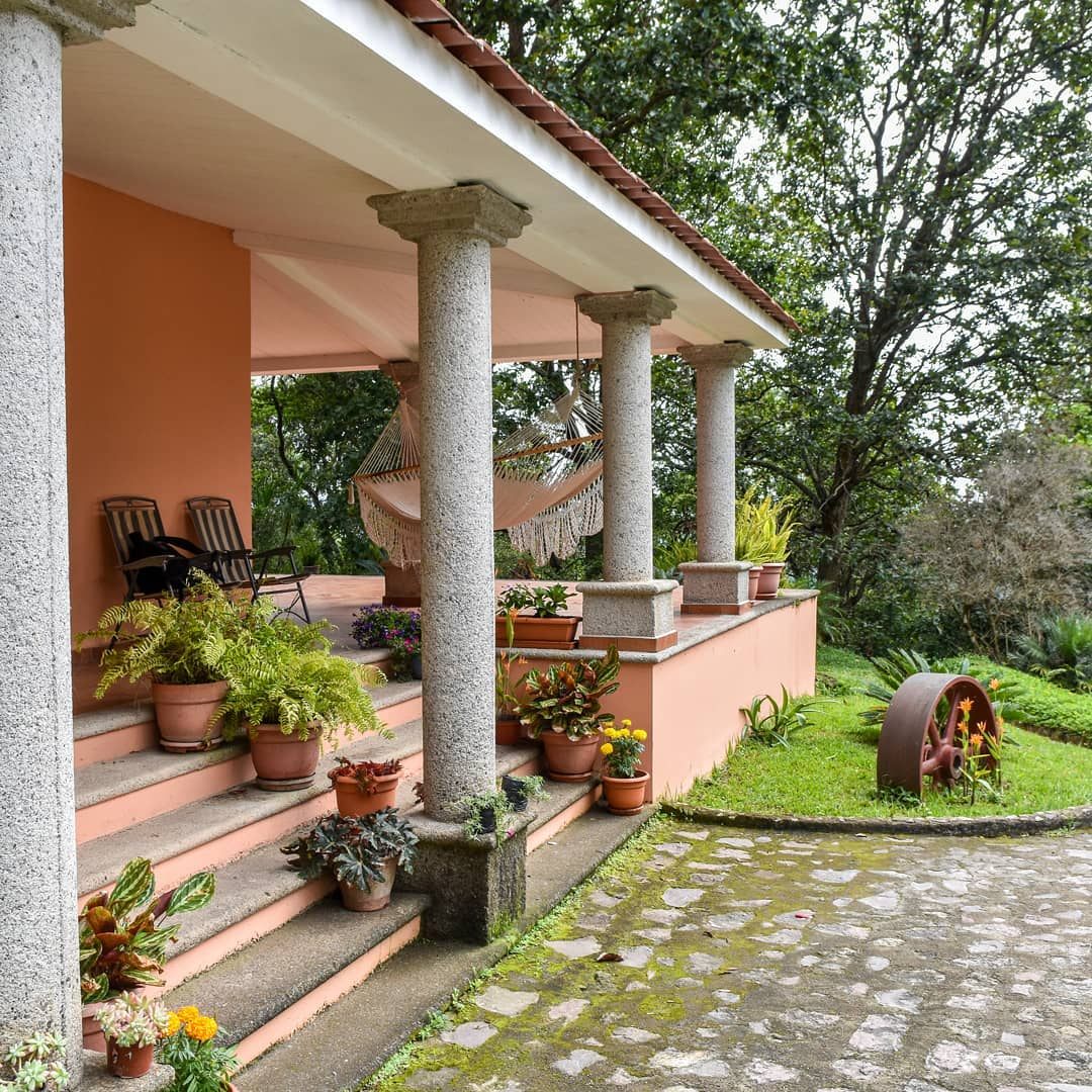 Front steps with potted plants