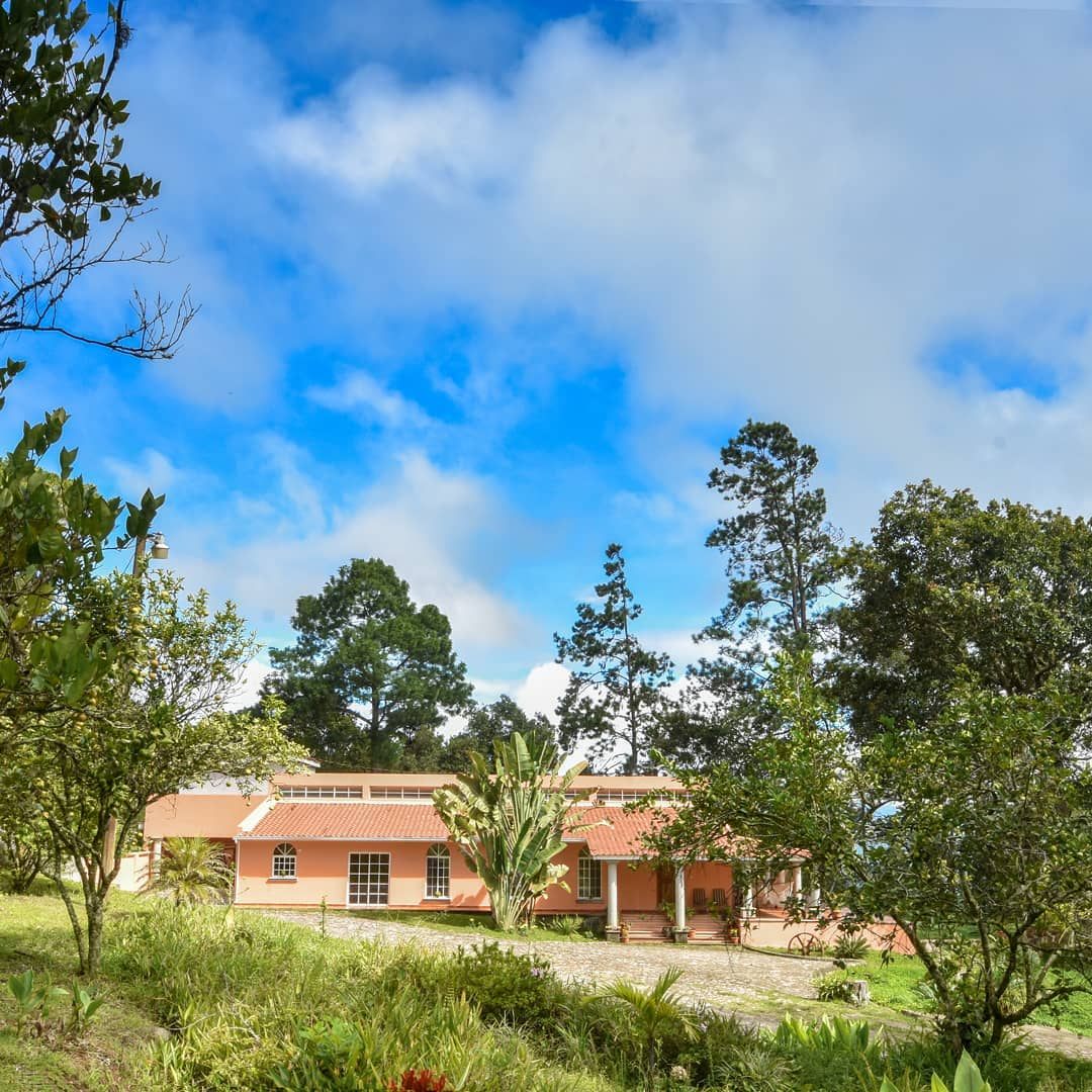 The villa seen across the meadow with pine-covered hills behind