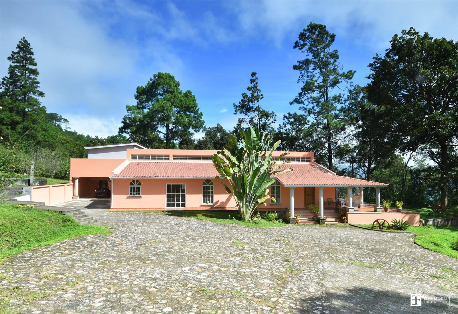 The whole villa under a blue sky, surrounded by pines